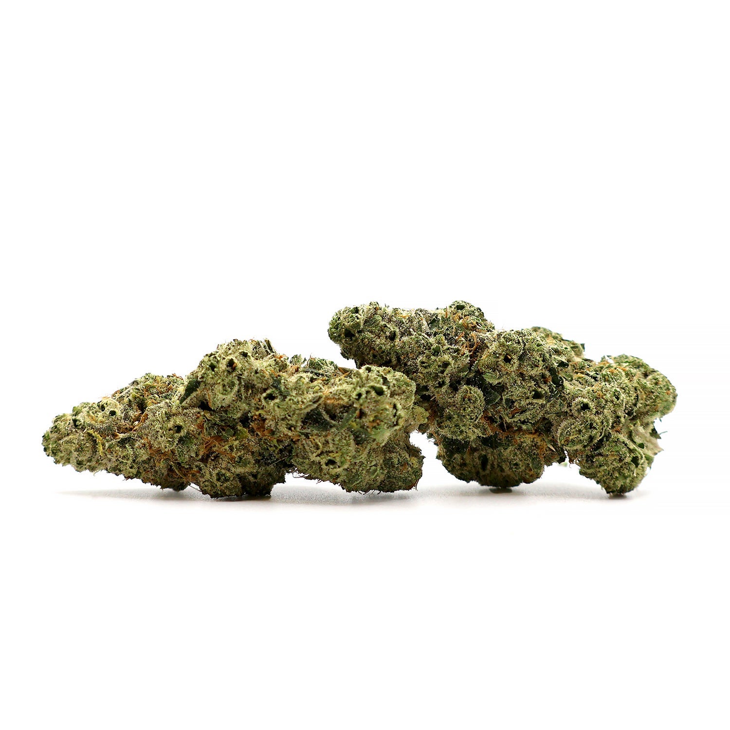 Albatross - Legend OG - Image 2
