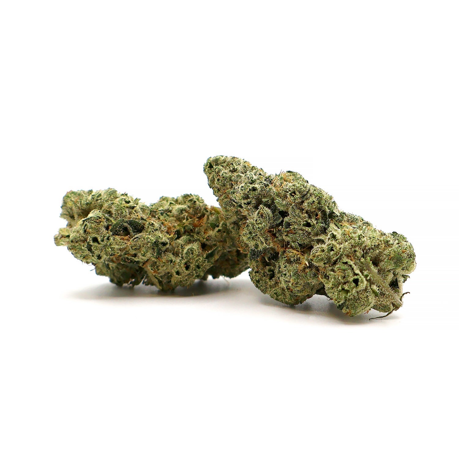 Albatross - Legend OG - Image 3