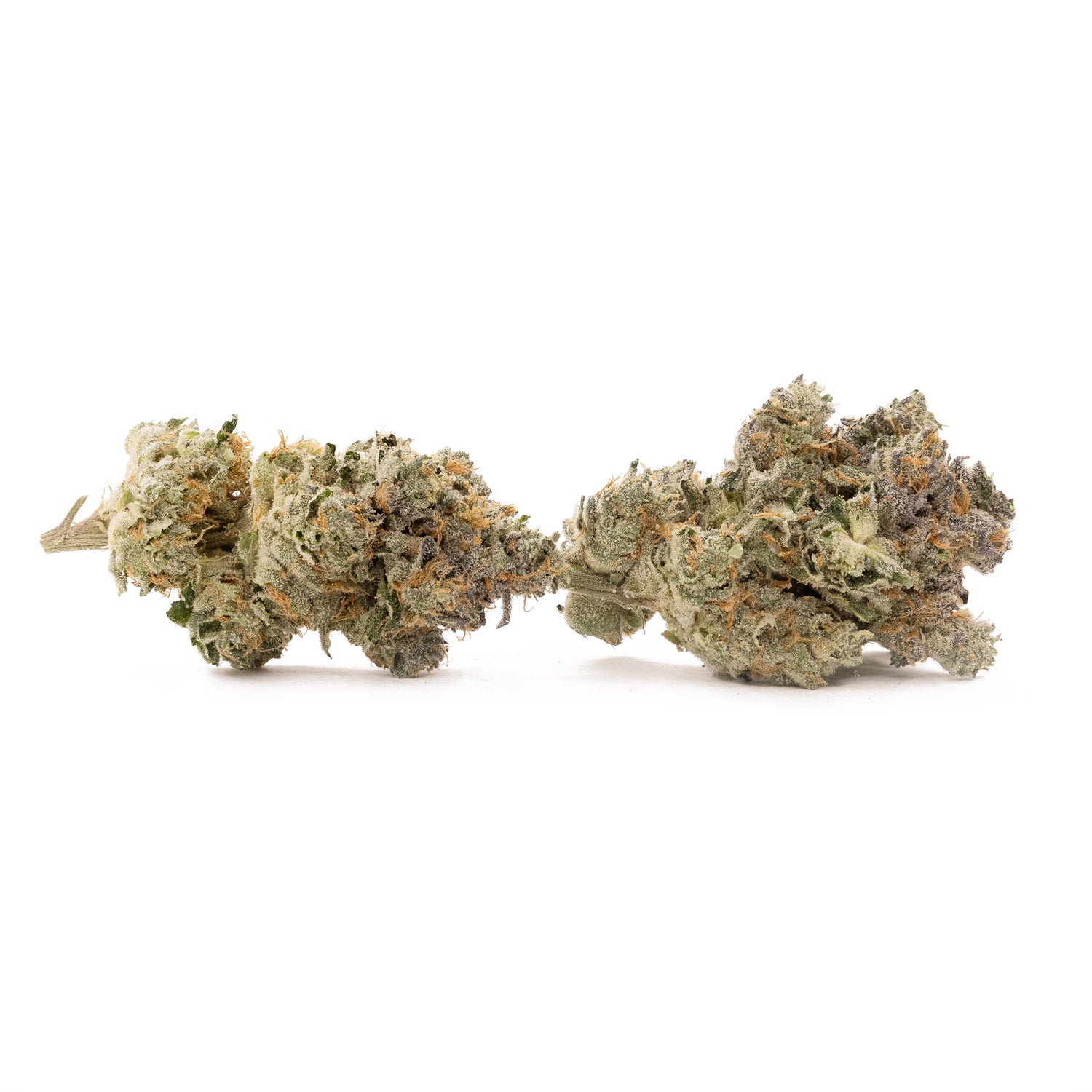 Albatross - Chemical Punch - Image 4
