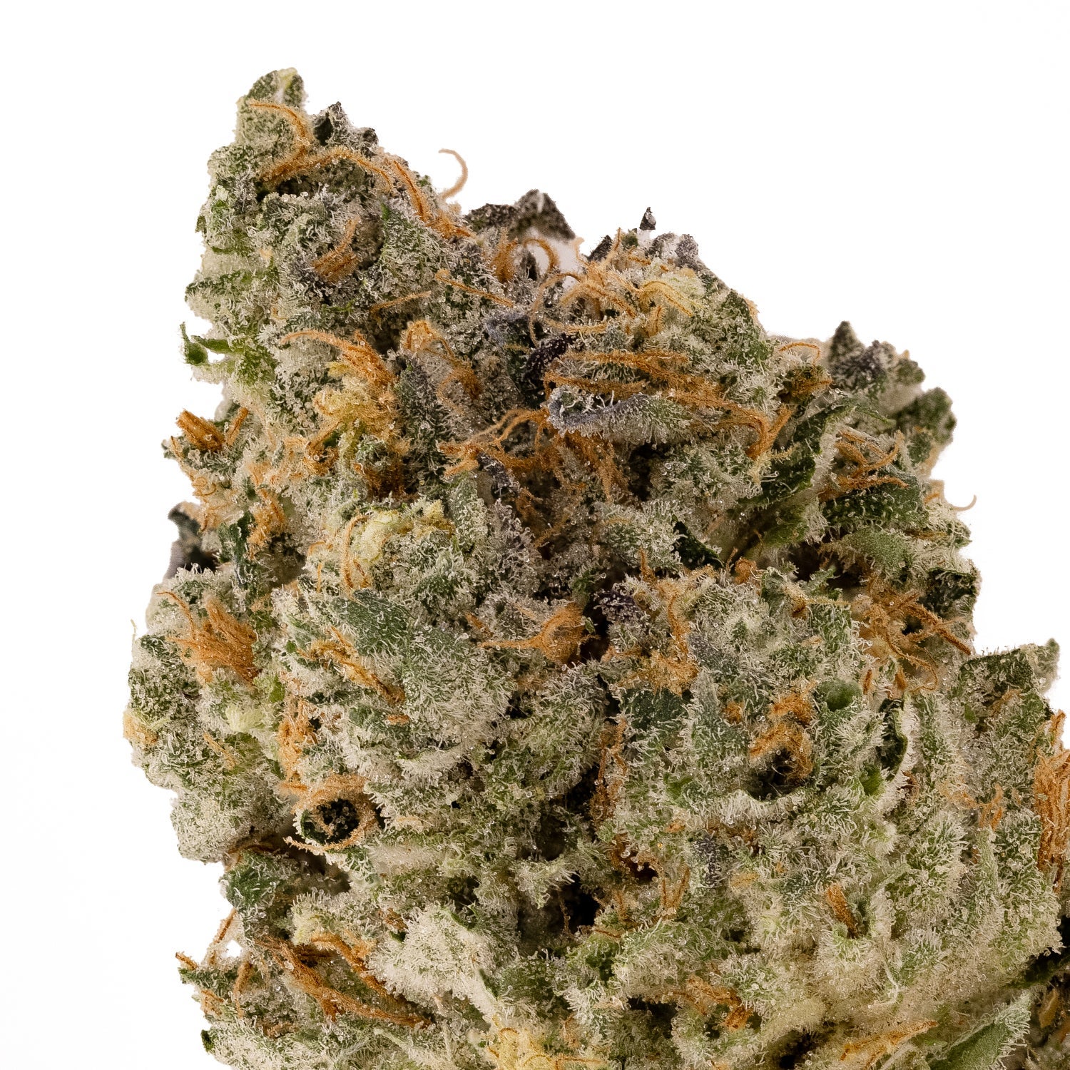 Albatross - Chemical Punch - Image 2