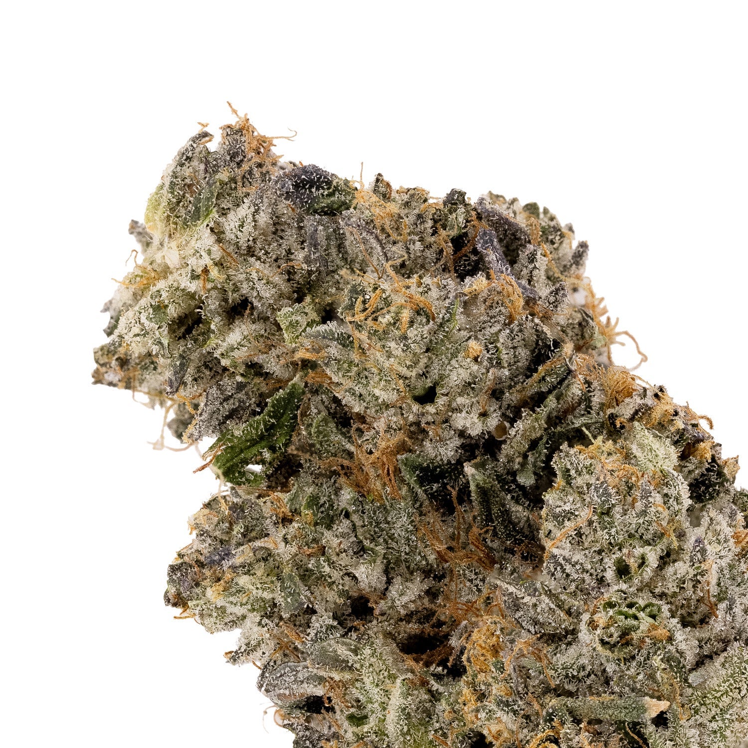 Albatross - Death Bubba - Image 4