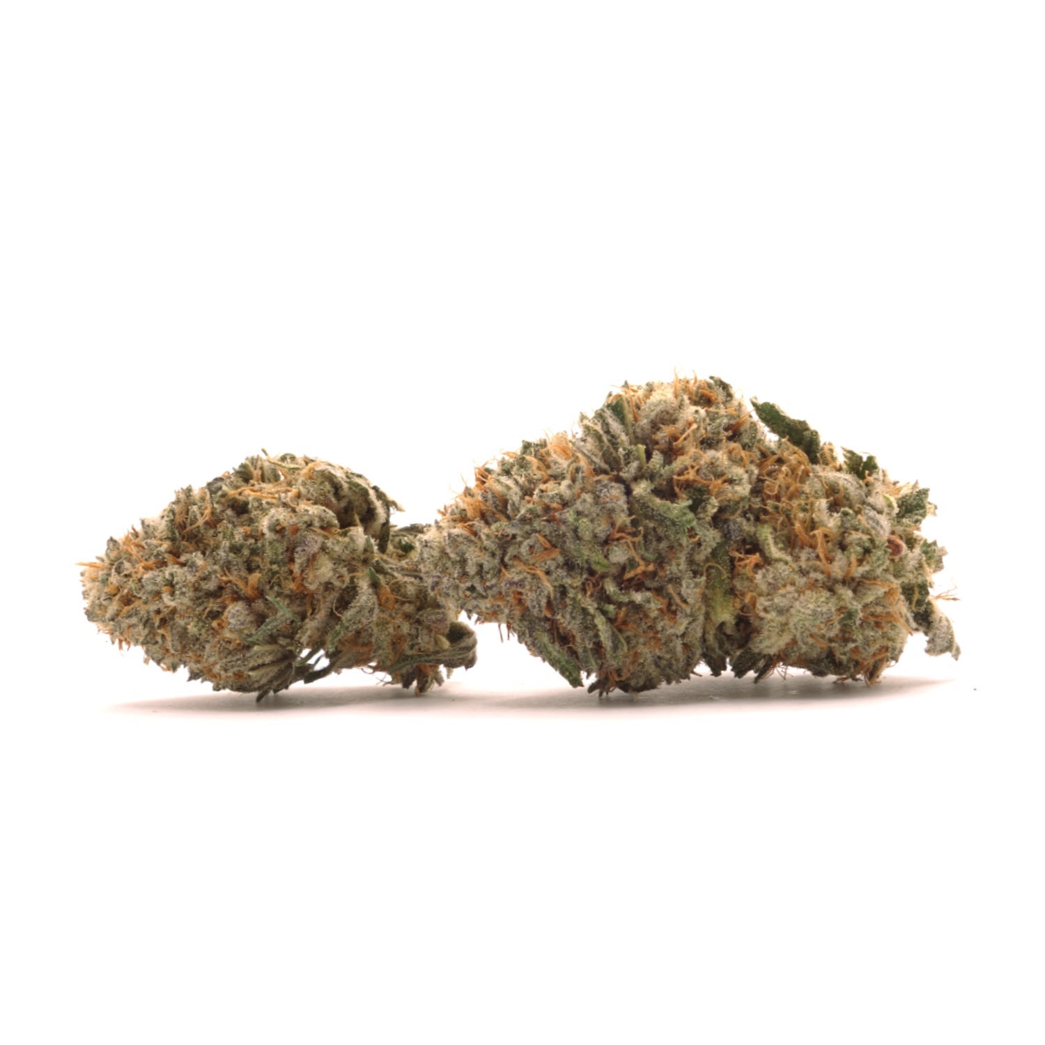 Dollar Treez - Jungle Pie - Image 3