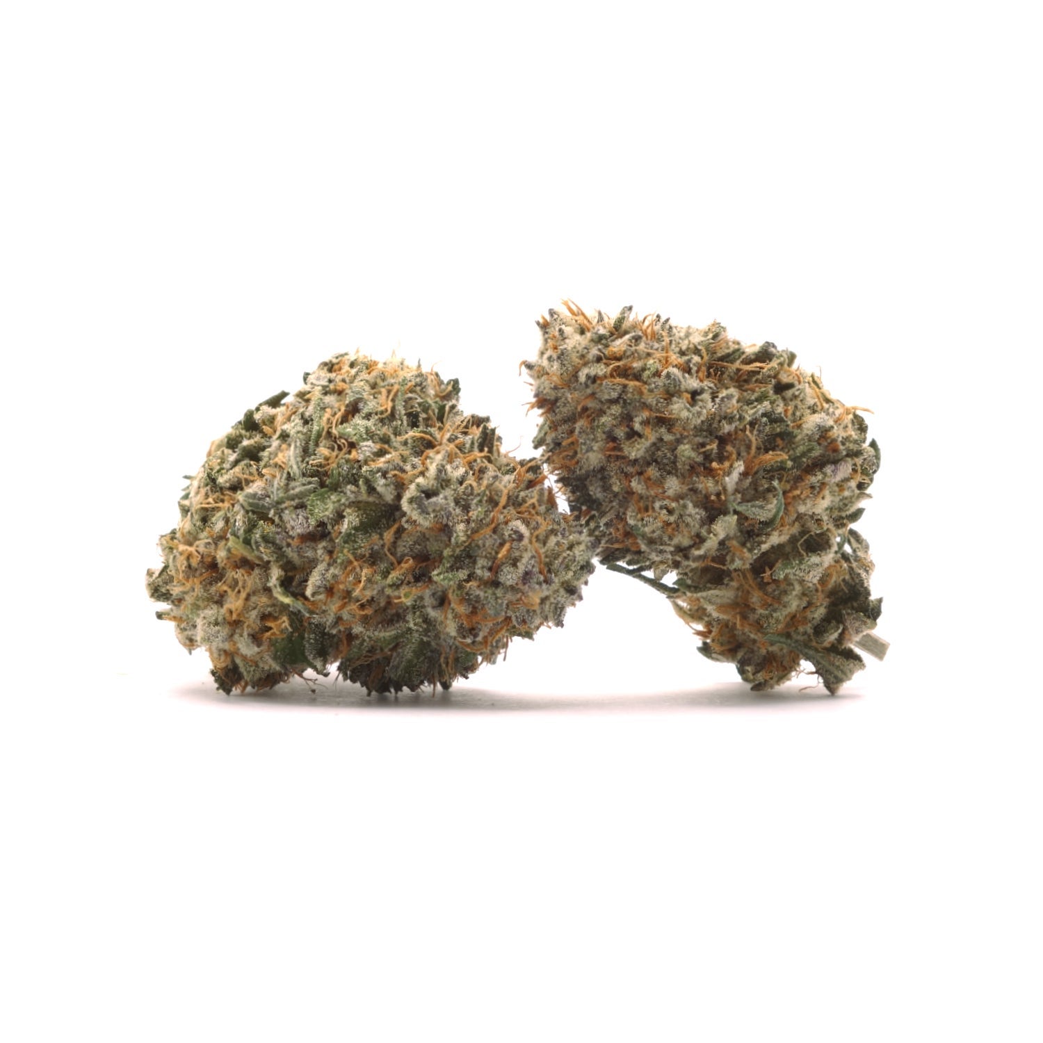 Dollar Treez - Jungle Pie - Image 2