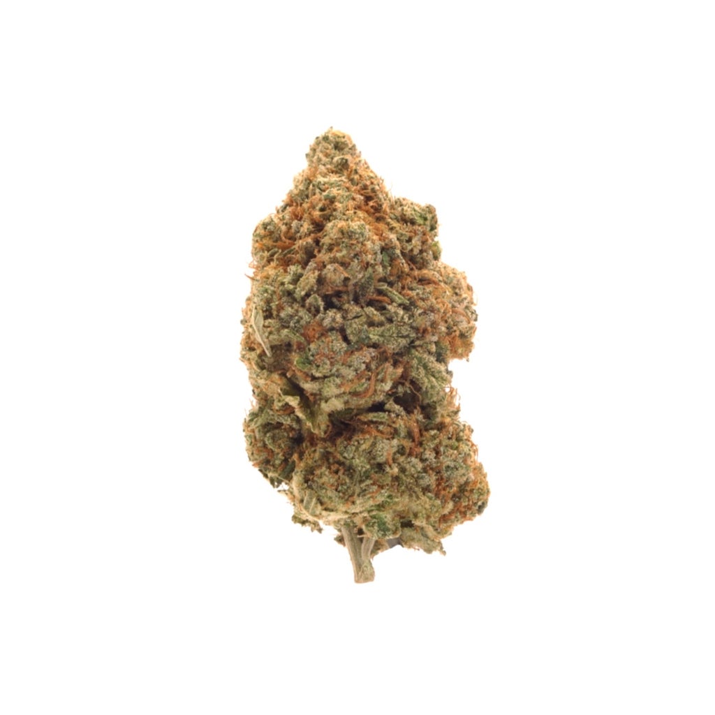 Jungle Ridge - Girl Scout Cookies