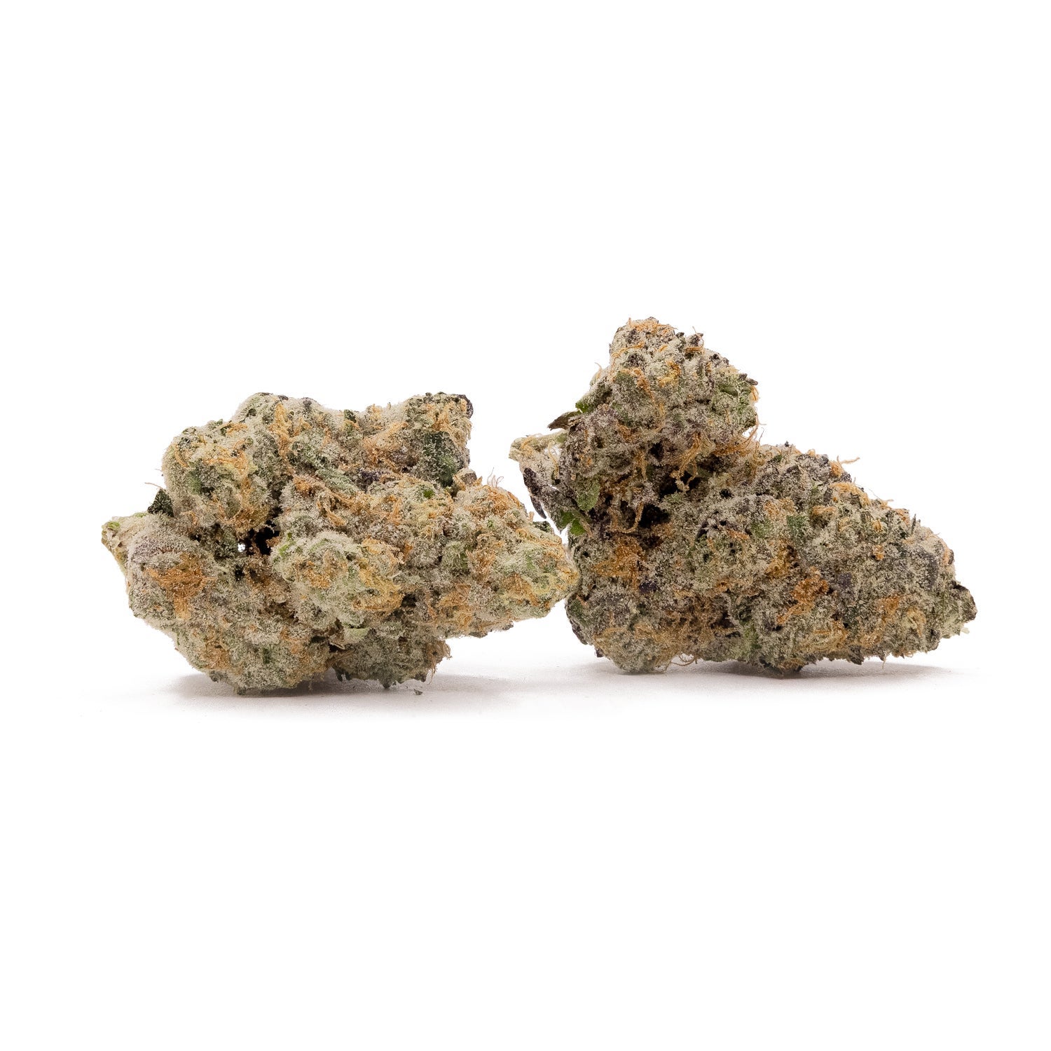 Albatross - Kush Mints - Image 3