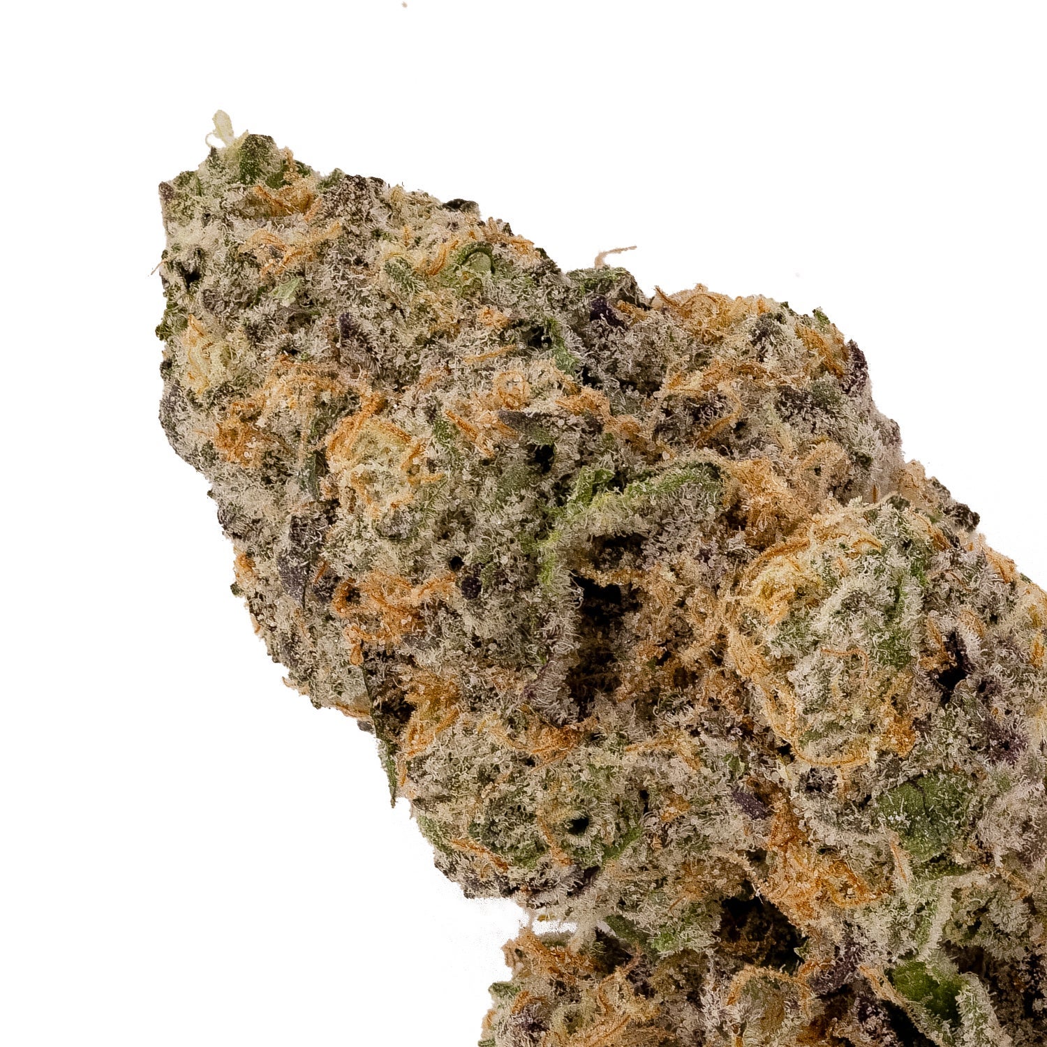 Albatross - Kush Mints - Image 4
