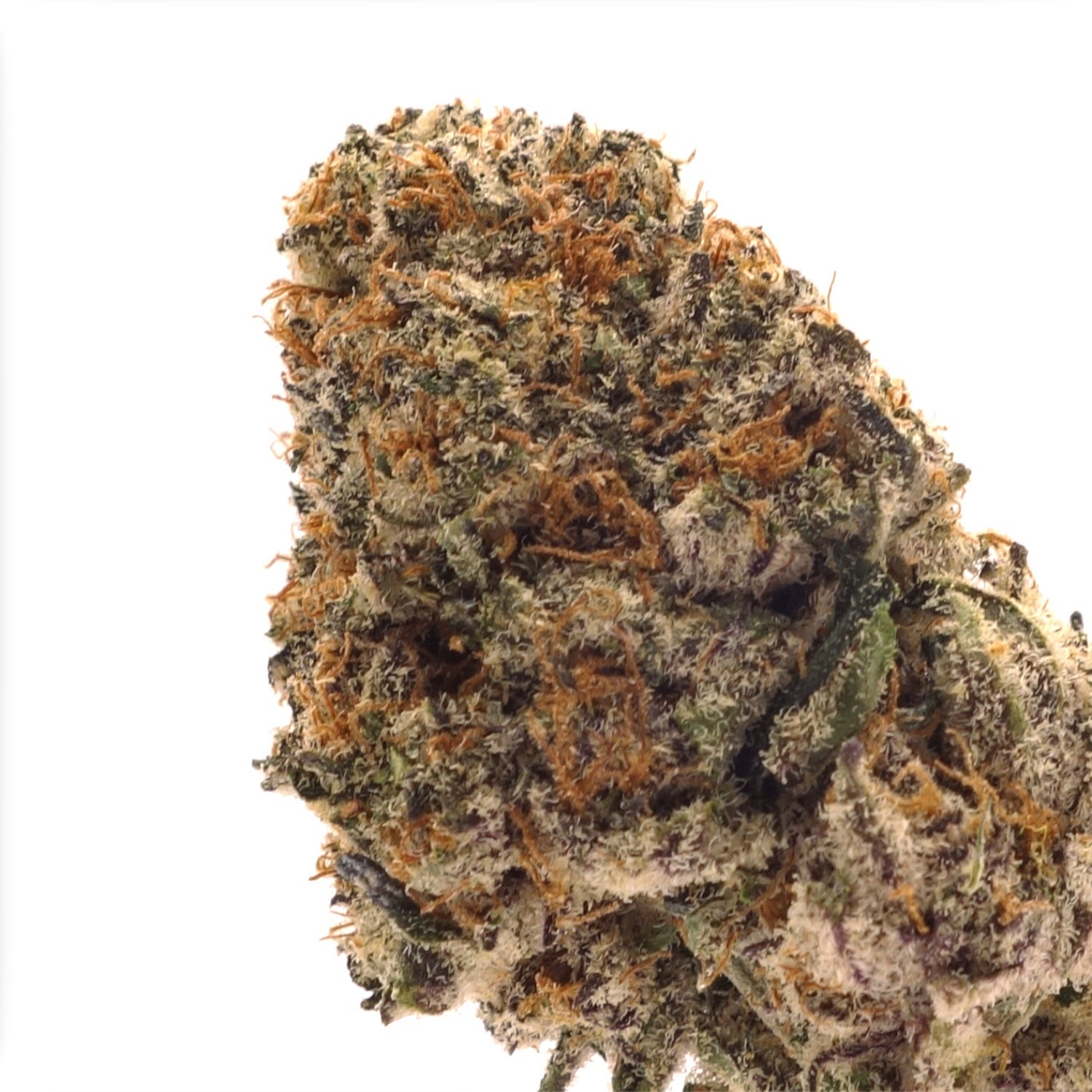 Lucky Farms - AMG - Image 4