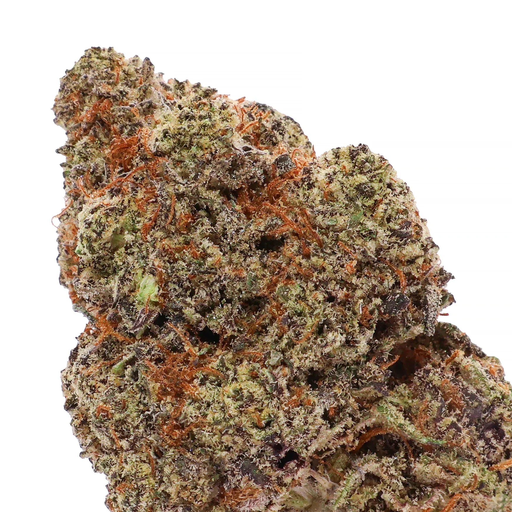Lucky Farms - Oreo - Image 4