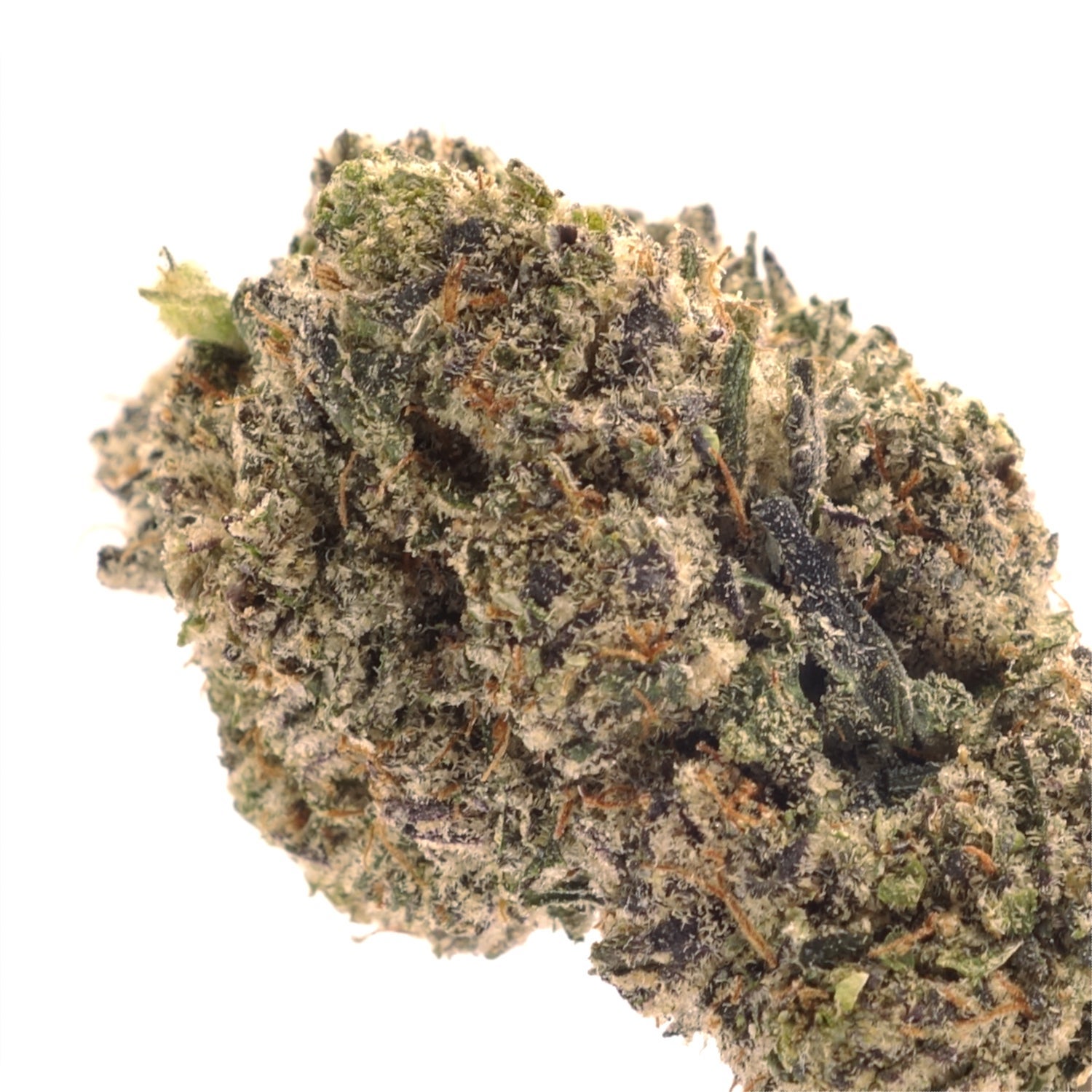 Lucky Farms - Strawberry Gary - Image 2