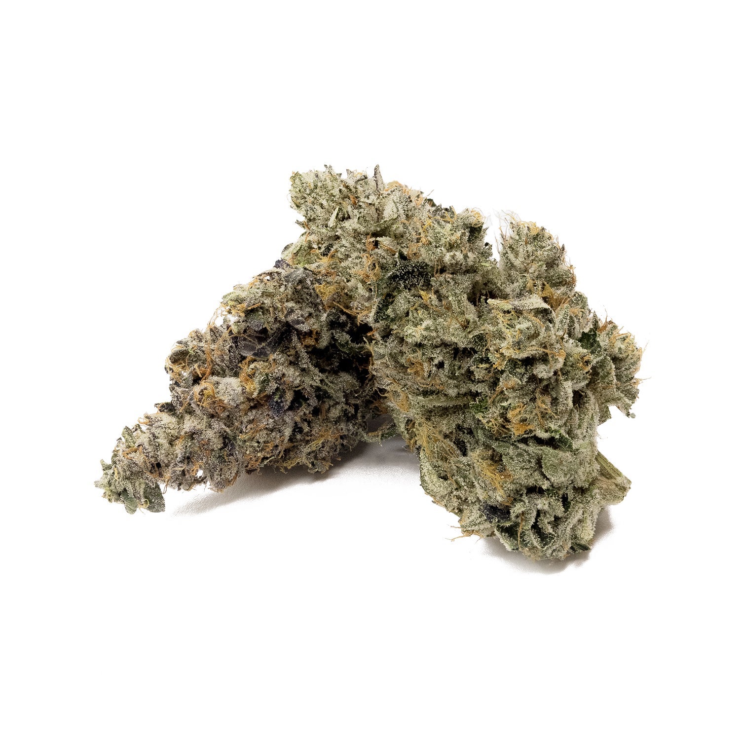Albatross - Rogi OG - Image 3