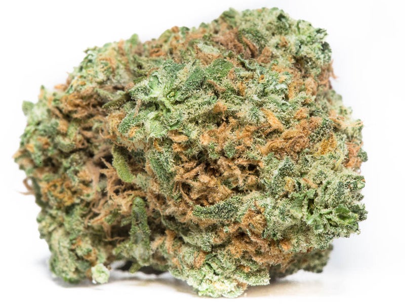Alien OG (AA)