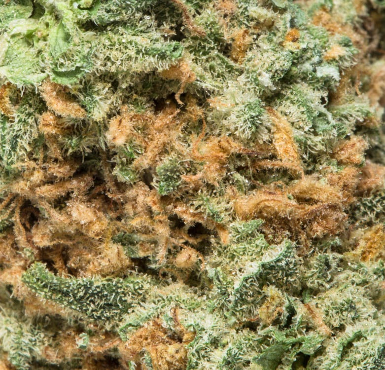 Alien OG (AA)