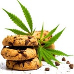 Cannabis Edibles