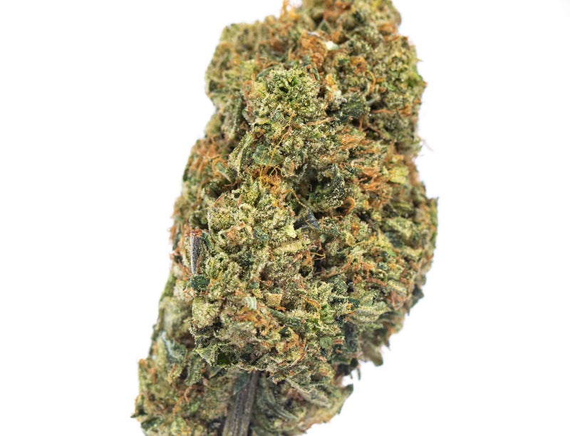 Bubba's Gift (AAA+)
