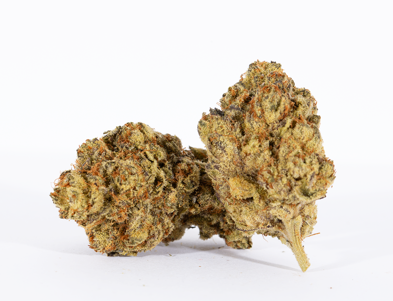 Biscotti (AAAA+)