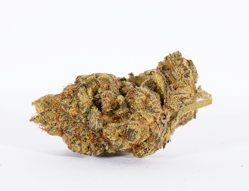 Biscotti (AAAA+)