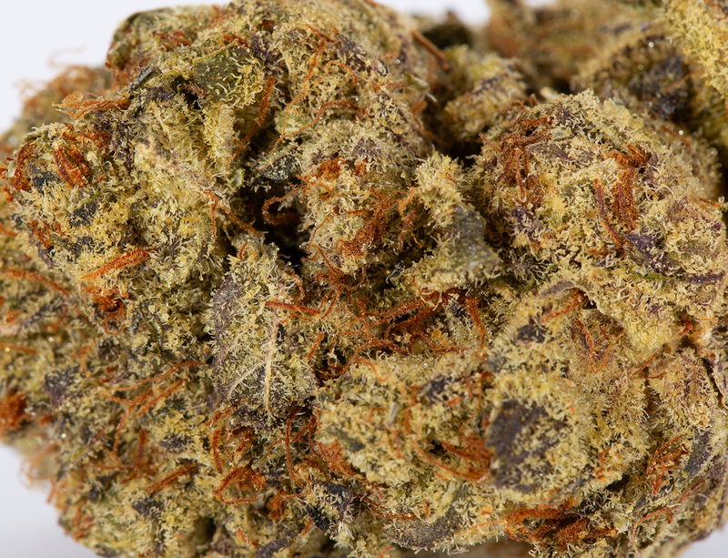 Biscotti (AAAA+)