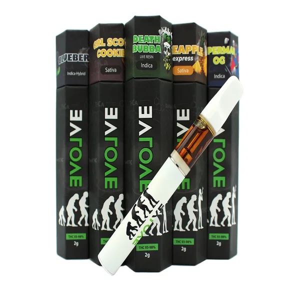 Evolve - Disposable Vape Pen (2g)