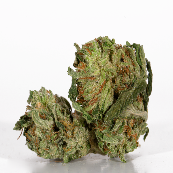 Headband (AA)