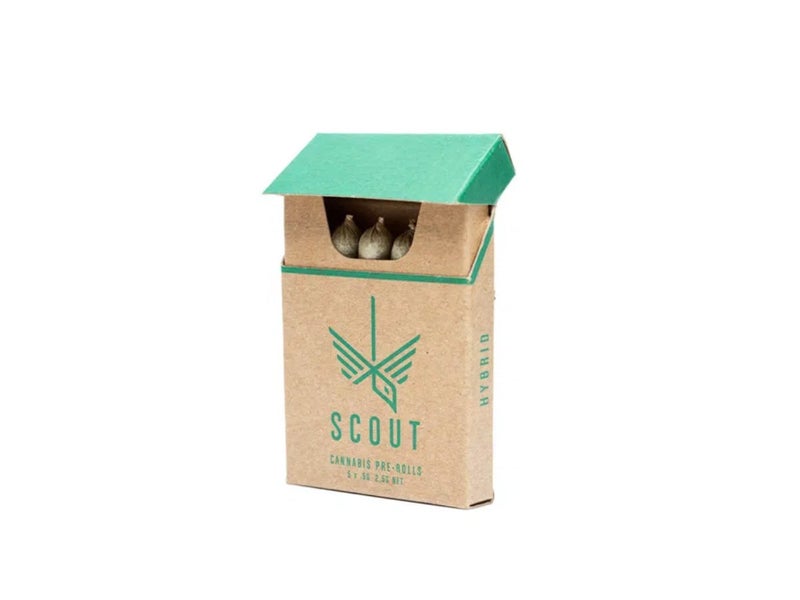 Scout - Pre-Roll Pack (0.5g)