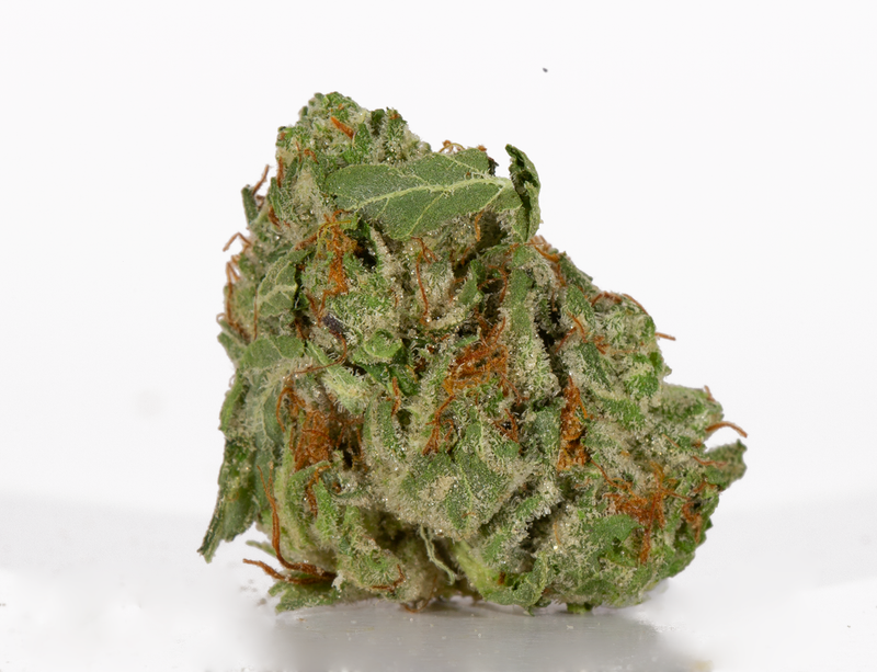 Headband (AA)