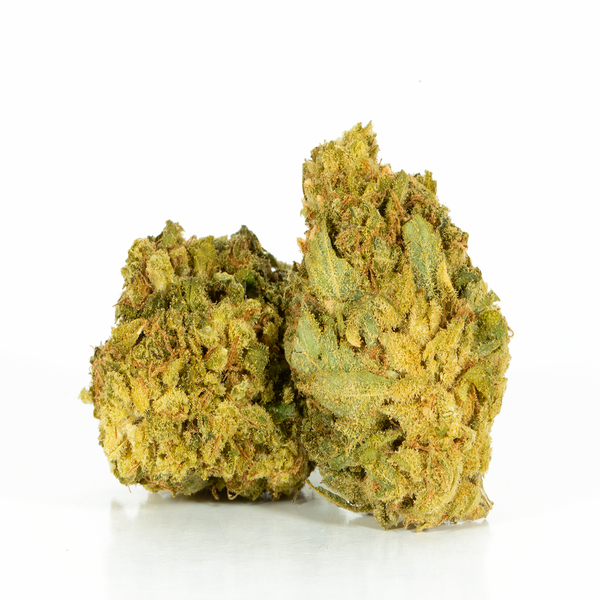 Jack Herer (AA)