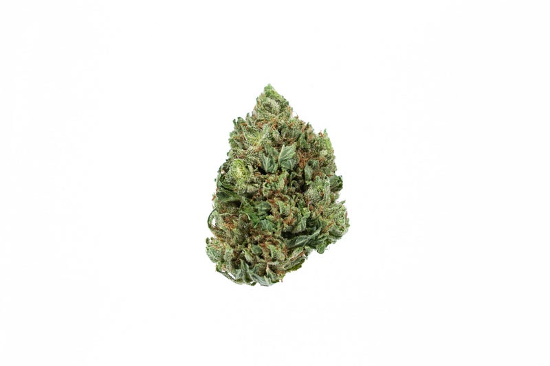 UBC Chemo (AA)