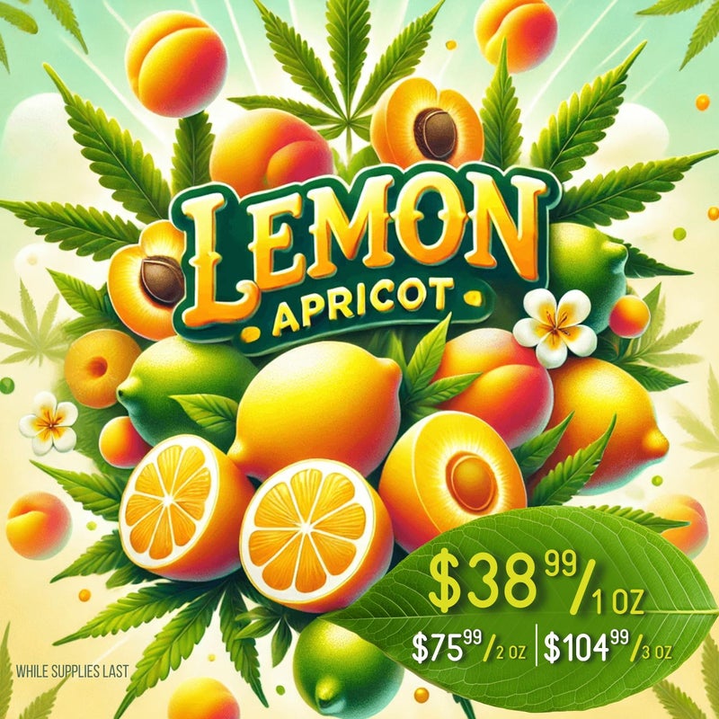 Lemon Apricot (Promo)