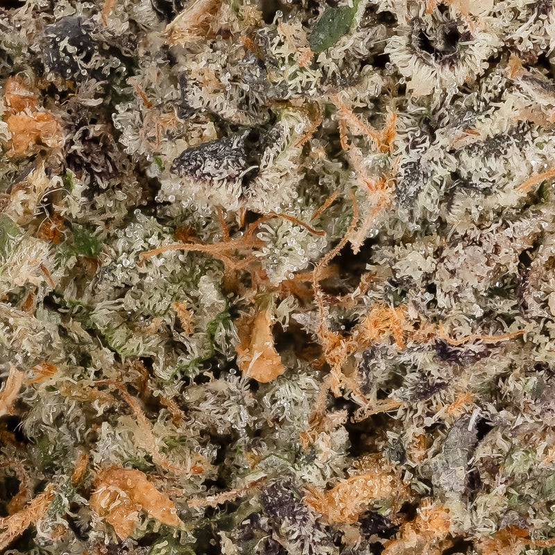 Jungle Ridge - Girl Scout Cookies (Smalls)