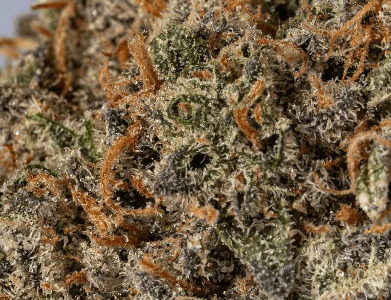 Astral Herbs - Girl Scout Cookies