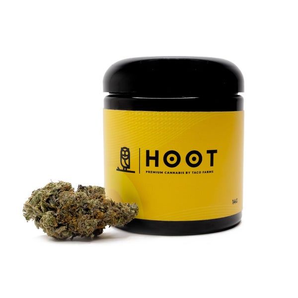 Hoot Cannabis - Mint Chocolate Chip