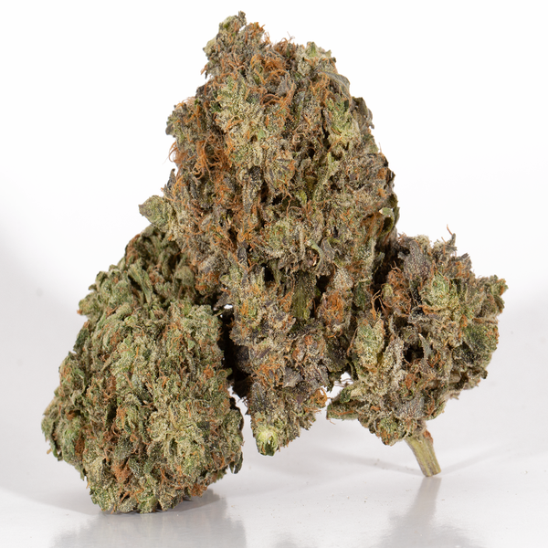 BC Legacy – Star Killer