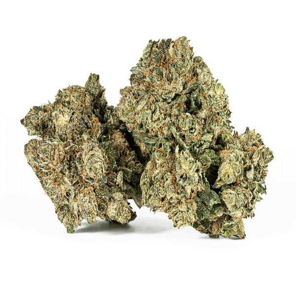 Astral Herb - Purple Kush