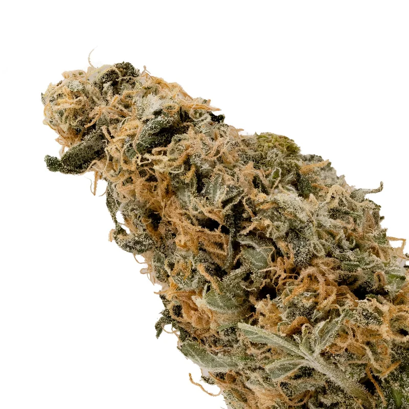 Lucky Farms - GMO