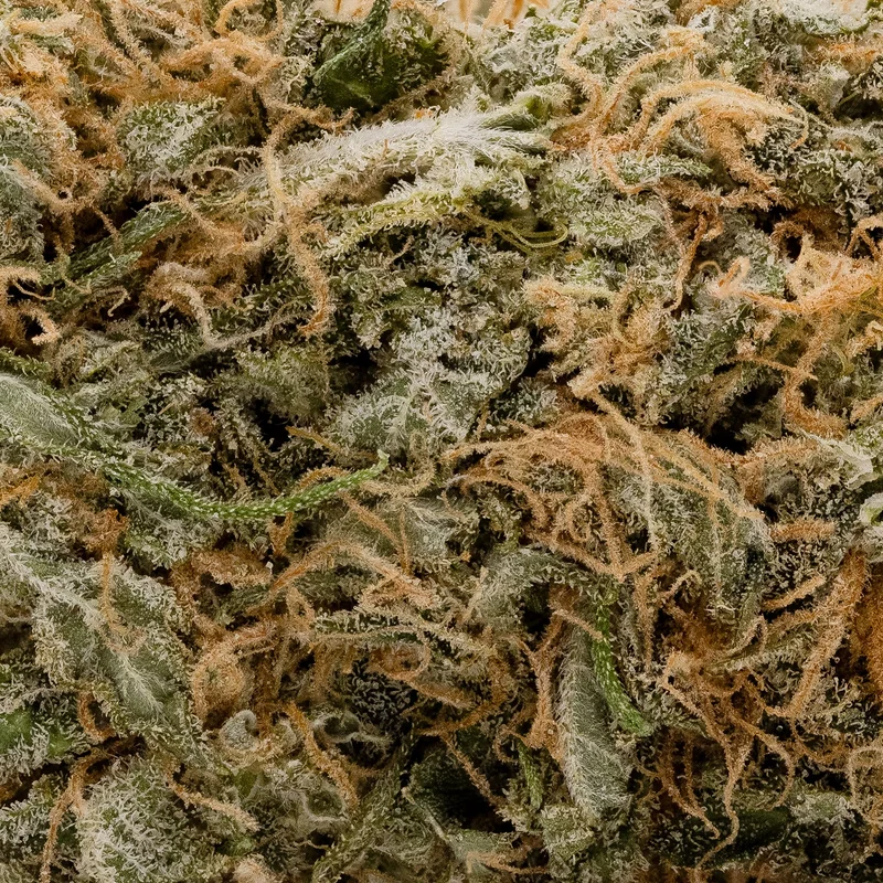 Lucky Farms - GMO