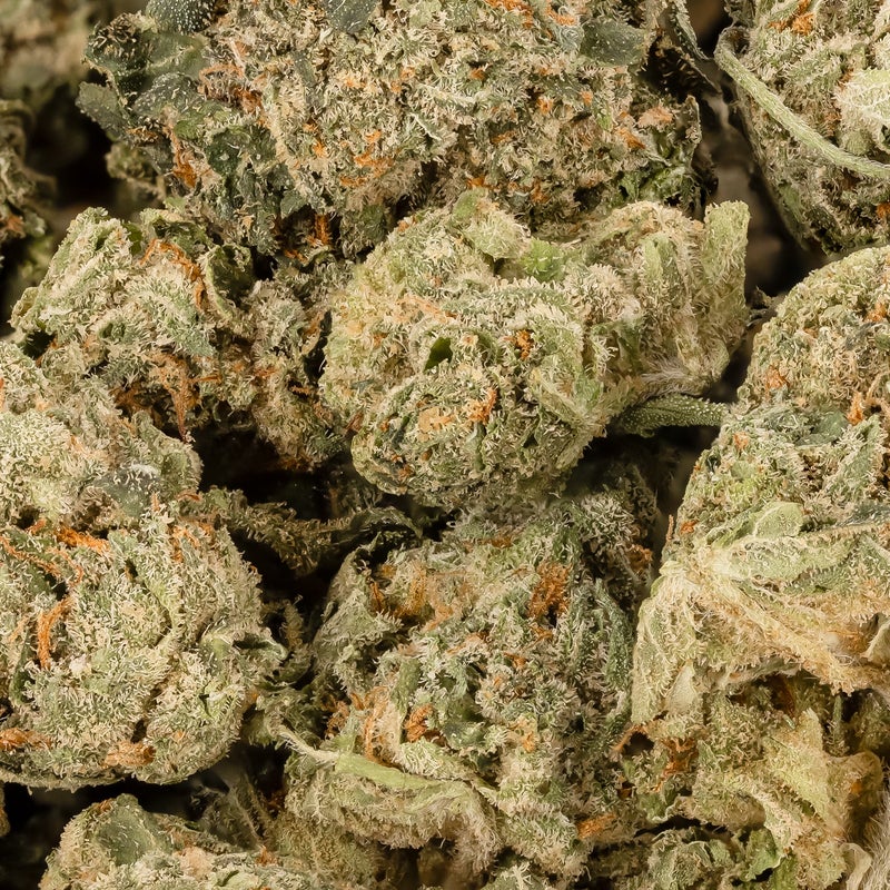 Lucky Farms - Gelato (Smalls)