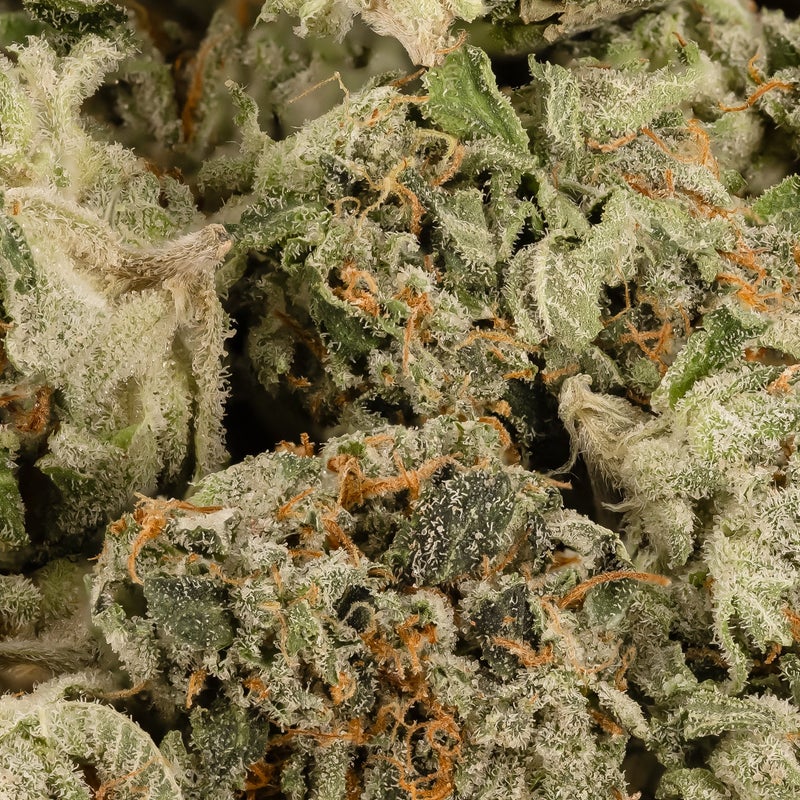 Lucky Farms - Lindsay OG (Smalls)