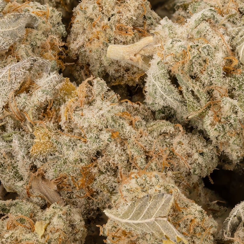 Lucky Farms - MAC 1 (Smalls)