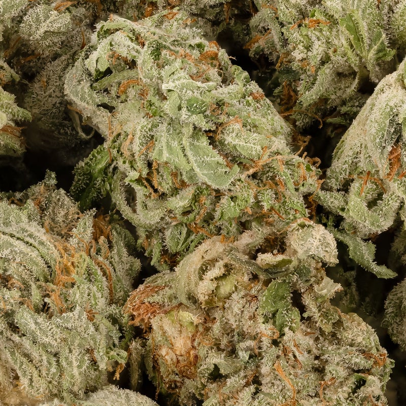 Lucky Farms - Master Kush (Smalls)