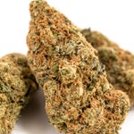 CAN-StrawberryCough-02