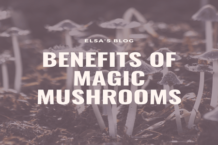 Negative Effects of Shrooms