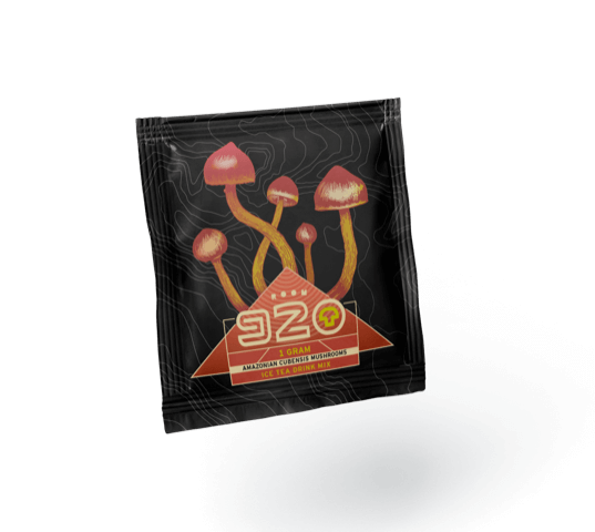 front.icetea.square-04-1