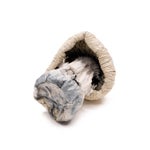 AlbinoAtlanticTreasureCoast-01