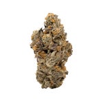 AnimalCookies-Albatross-03