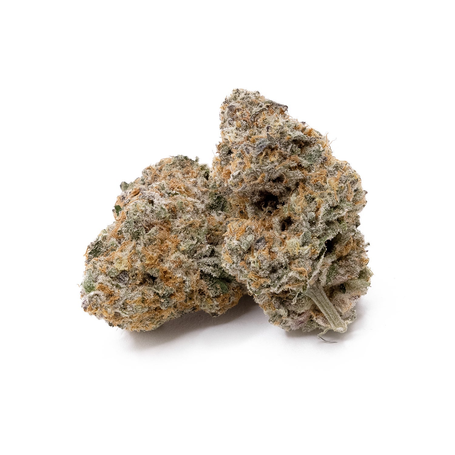 AnimalMints-Albatross-02