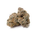 AnimalMints-Albatross-03