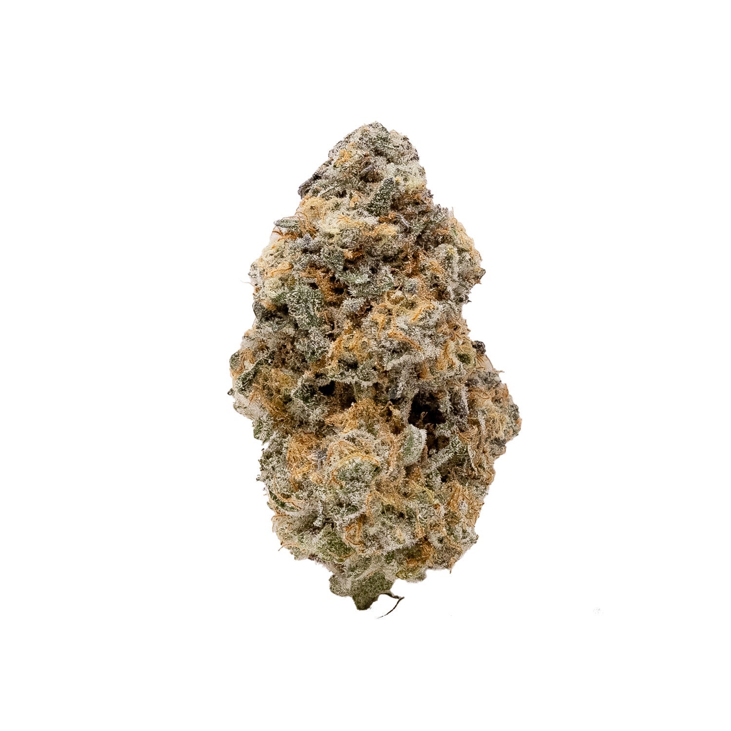 AnimalMints-Albatross-03