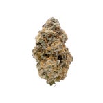 AnimalMints-Albatross-03