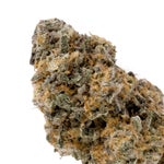 AnimalMints-Albatross-03