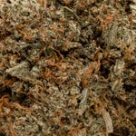 BlackDiamond-LuckyFarms-03